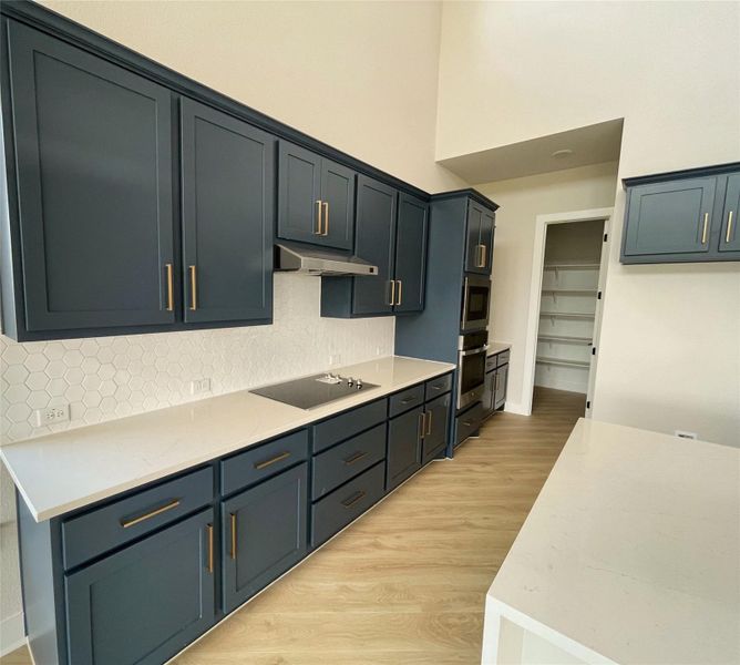 Culinary dreams come alive in this kitchen featuring abundant deep blue cabinetry and a spacious pantry. Culinary dreams come alive in this kitchen featuring abundant deep blue cabinetry and a spacious pantry.