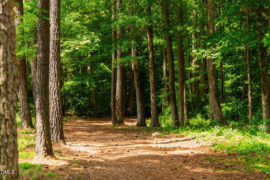 Amenities-trails-5-MHM