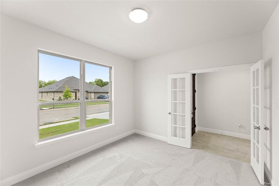 1125 Foxtail-Study-1 1125 Foxtail-Study-1