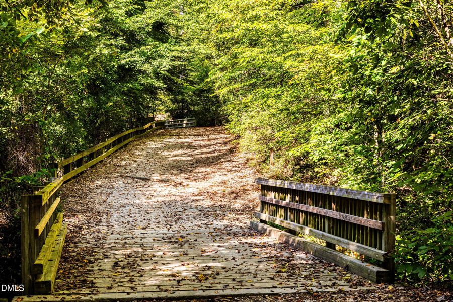 Raven Rock State Park trails Angier NC Raven Rock State Park trails Angier NC