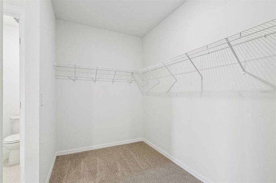 Spacious, unfurnished interior of a new home in Crosswinds - Signature Series, Haines City (Image 16).