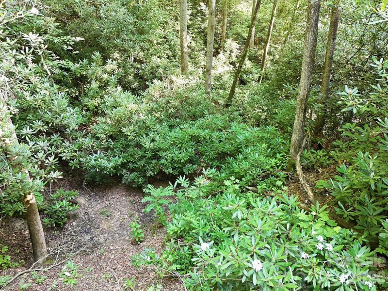 Natural landscape and outdoor views near in Hendersonville (Image 14). Natural landscape and outdoor views near in Hendersonville (Image 14).