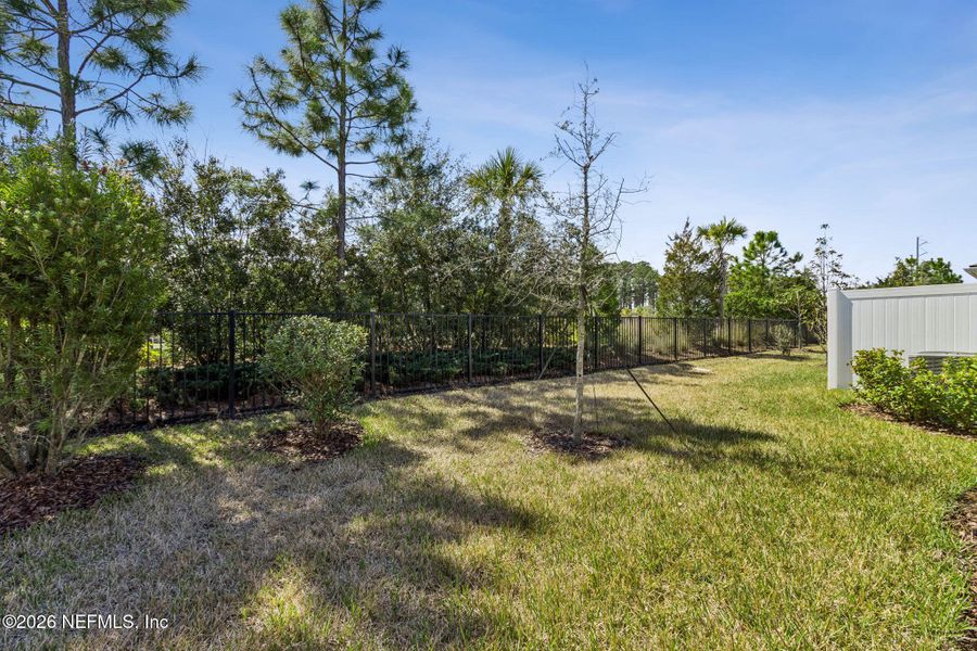 Natural landscape and outdoor views near Del Webb Wildlight in Wildlight (Image 59).