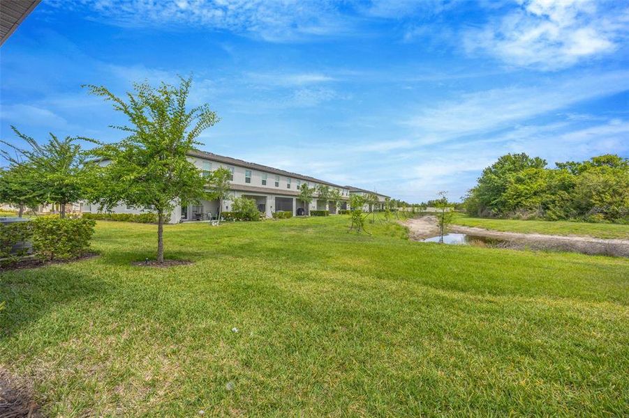 Natural landscape and outdoor views near Townes at Southshore Pointe in Ruskin (Image 46).