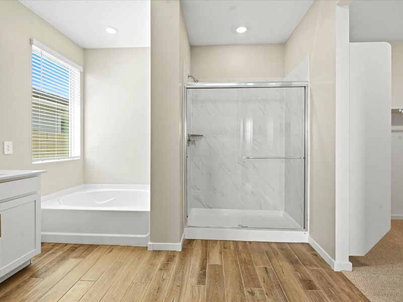 Furnished interior view inside a new home in White Tank Foothills Reserve Series, Waddell (Image 8).