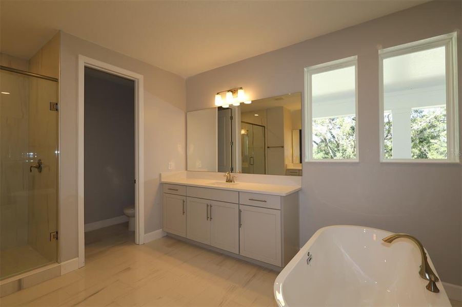 Furnished interior view inside a new home in Willow Run, Apopka (Image 9).