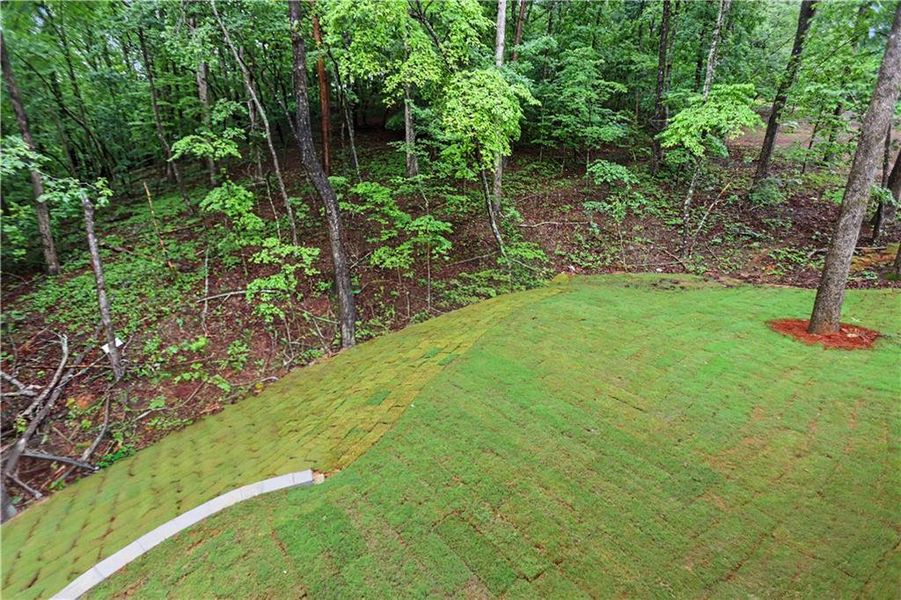 Natural landscape and outdoor views near in Gainesville (Image 46). Natural landscape and outdoor views near in Gainesville (Image 46).