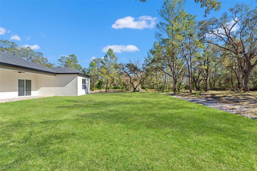 Exterior details and patio area of a home in , Brooksville (Image 4).
