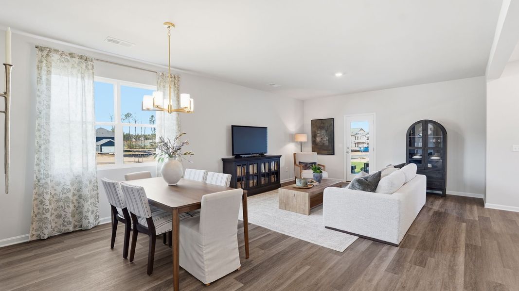 Furnished interior view inside a new home in Altama, Brunswick (Image 14).