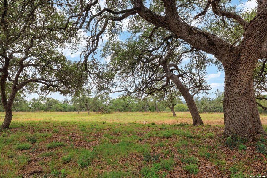 Natural landscape and outdoor views near in Blanco (Image 19). Natural landscape and outdoor views near in Blanco (Image 19).