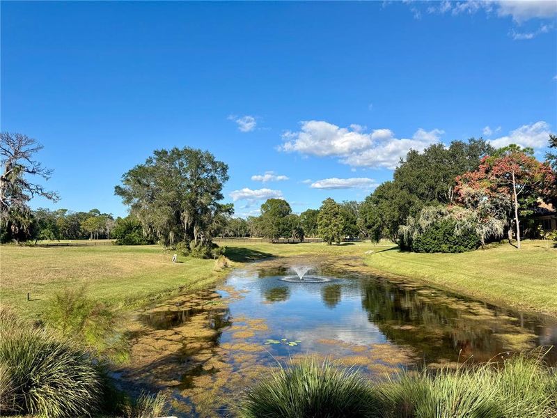 Natural landscape and outdoor views near in Tarpon Springs (Image 19). Natural landscape and outdoor views near in Tarpon Springs (Image 19).