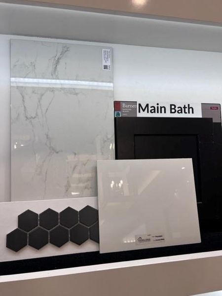 Main Bath Selections