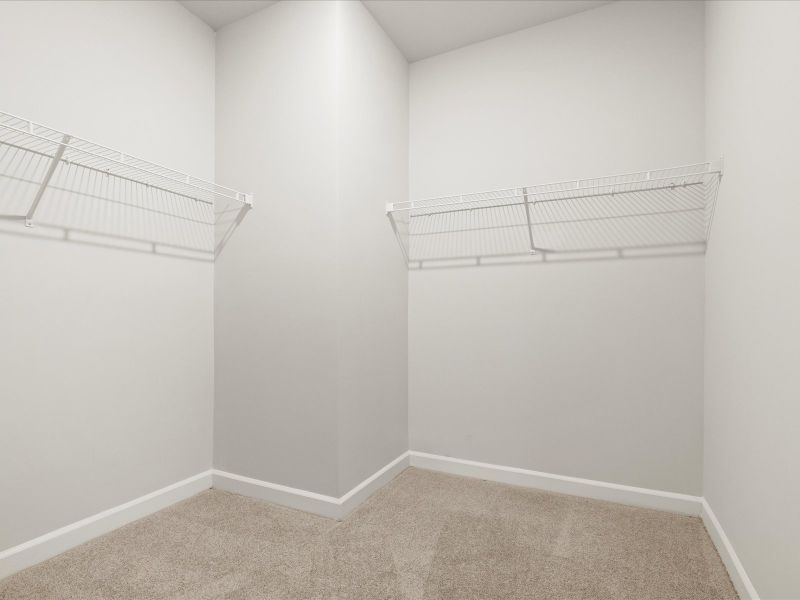 Welcome to the Chandler floorplan at Holland Park. Welcome to the Chandler floorplan at Holland Park.