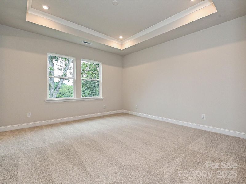 Primary Suite with Grand Tray Ceiling and Unobstructed Views.