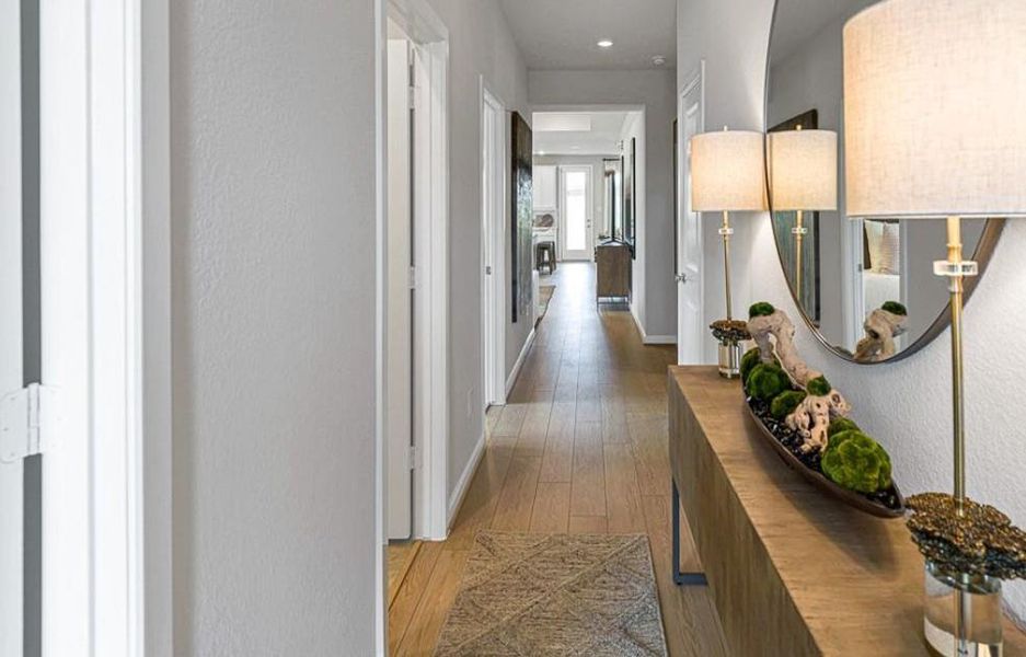 REPRESENTATIVE PHOTO