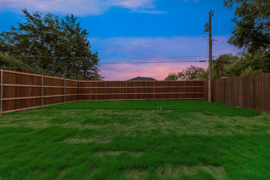 View of yard at dusk