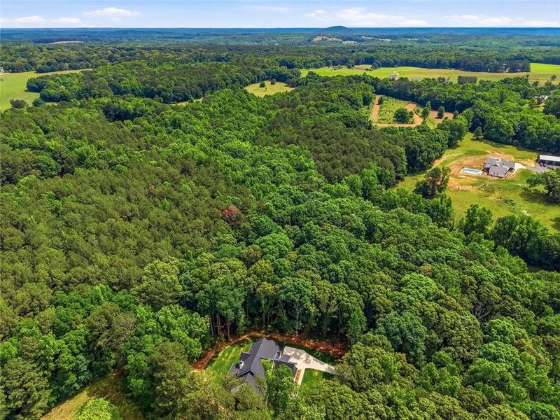 Natural landscape and outdoor views near  in Covington (Image 77).