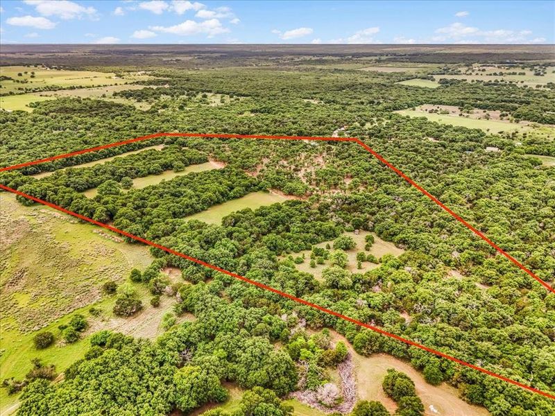 Expansive undeveloped land featuring a mix of dense tree coverage and open grassy areas