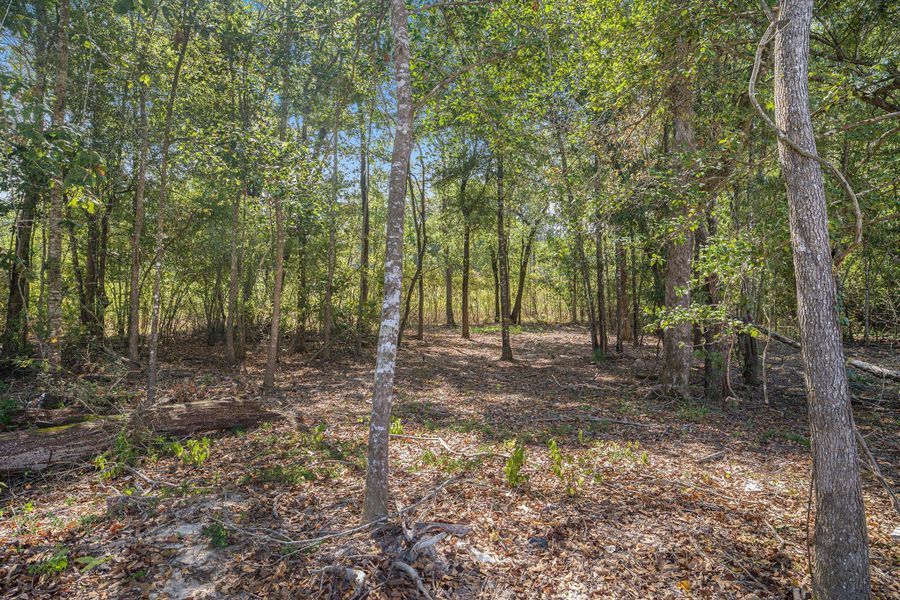 Natural landscape and outdoor views near Encino Estates in Dayton (Image 28).