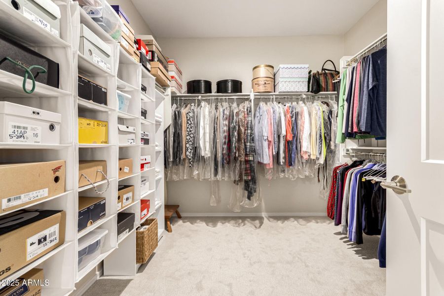 26-Cactus Wren 26-Cactus Wren