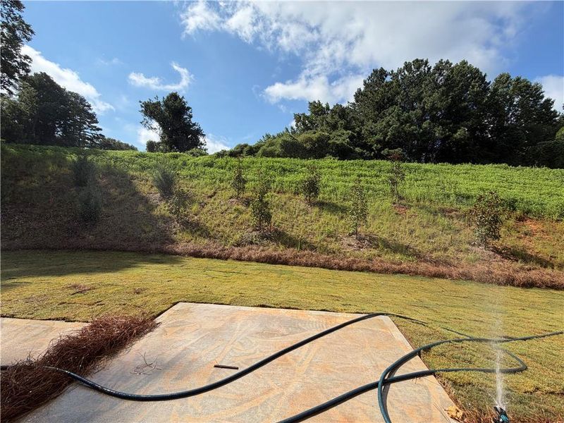 Natural landscape and outdoor views near  in Dawsonville (Image 28).