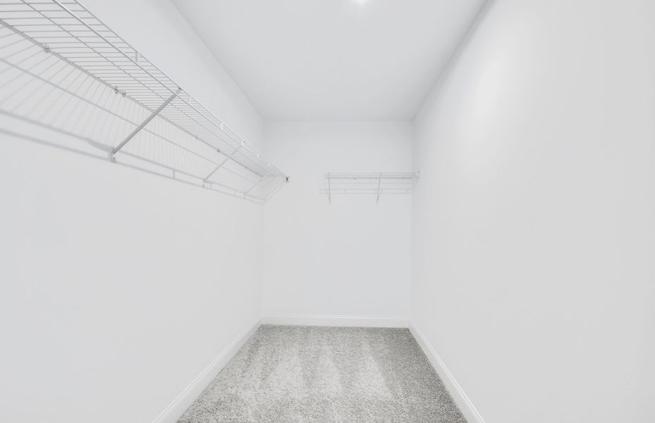 Owner's Closet Owner's Closet