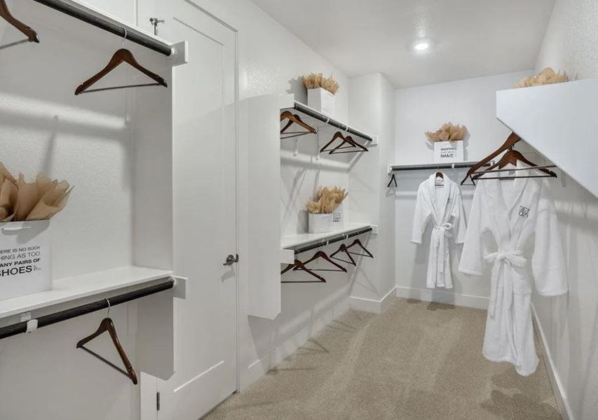 REPRESENTATIVE PHOTOS REPRESENTATIVE PHOTOS