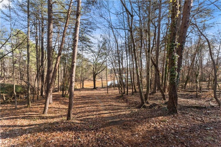 Natural landscape and outdoor views near  in Cumming (Image 54).