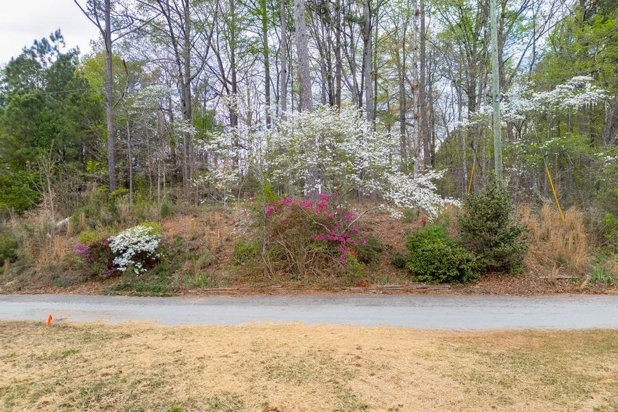 Natural landscape and outdoor views near in Cumming (Image 5). Natural landscape and outdoor views near in Cumming (Image 5).