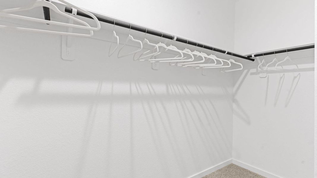 *Images and 3D tour are for illustration only and options may vary from home as built.