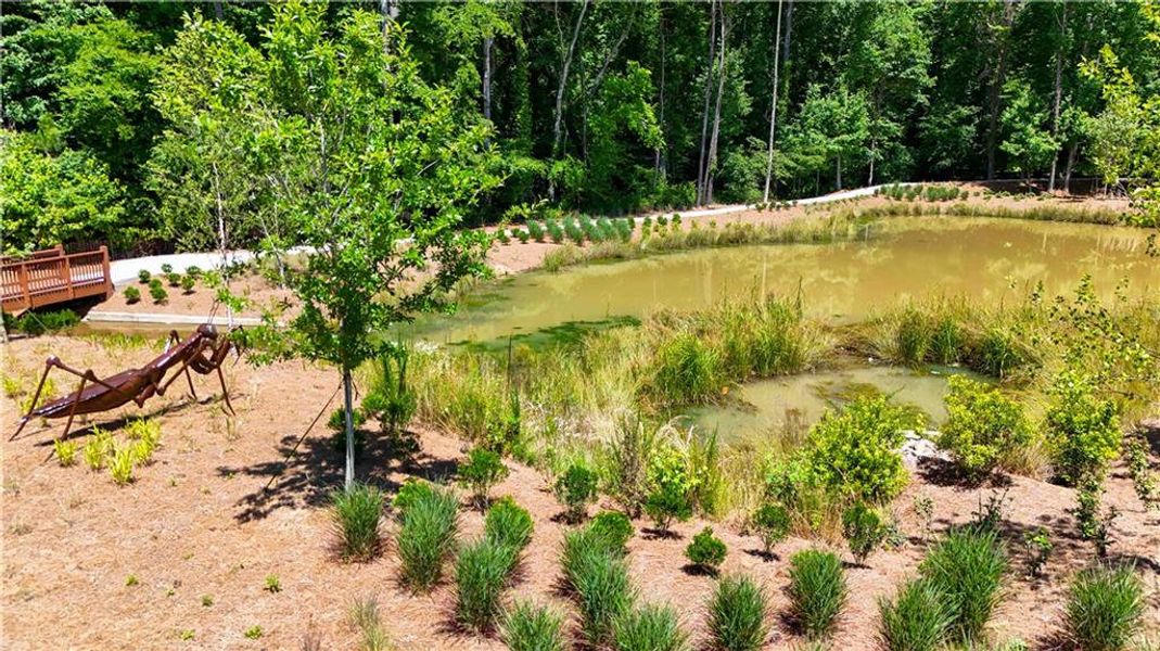 Image 42 of a home in Ecco Park.