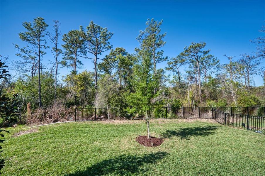 Natural landscape and outdoor views near  in Bradenton (Image 35).
