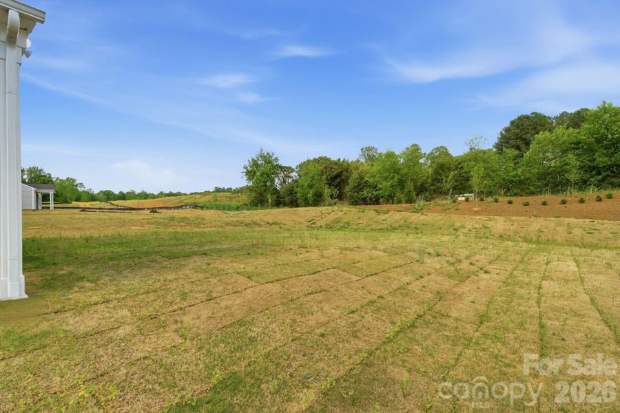 Large flat yard