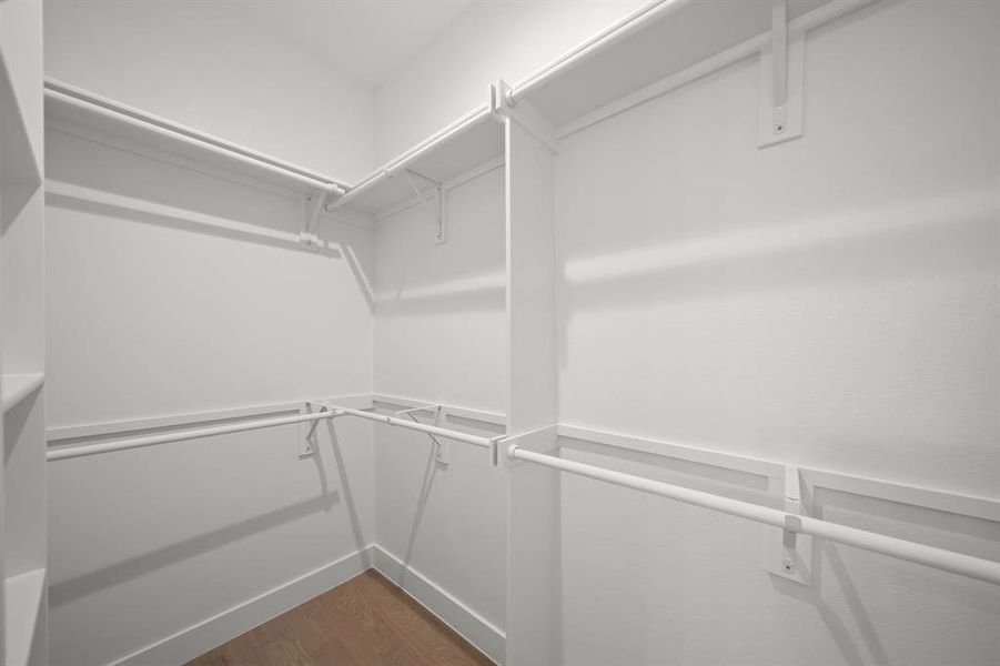 Spacious closet featuring dark wood finished floors