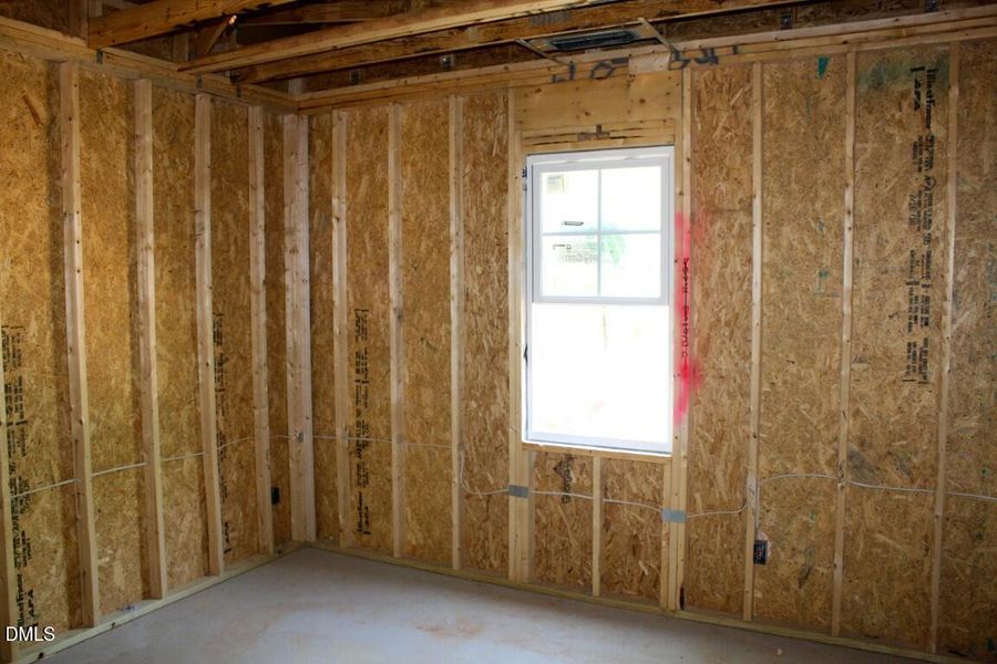 IMG_7543 (Medium) IMG_7543 (Medium)