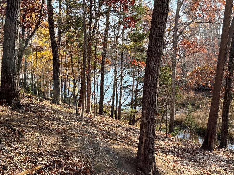 Natural landscape and outdoor views near  in York (Image 28).