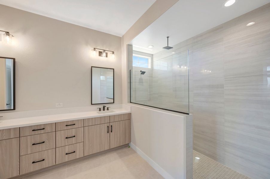 Owner's Bath