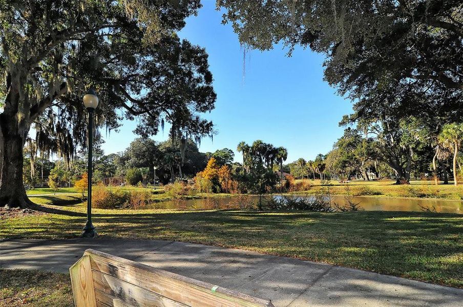 Natural landscape and outdoor views near in Sarasota (Image 47). Natural landscape and outdoor views near in Sarasota (Image 47).