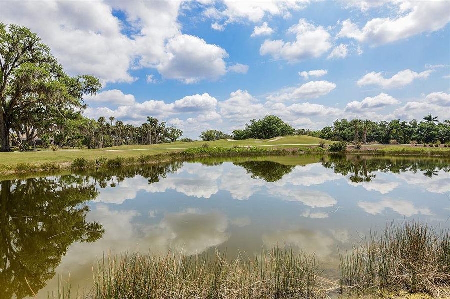 Natural landscape and outdoor views near  in Fort Myers (Image 33).