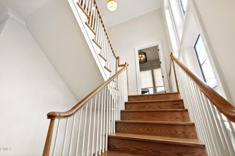 Carson (23) Carson (23)