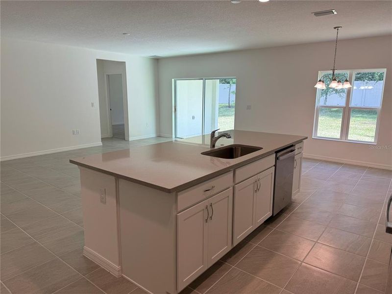 Kitchen / Dining Area / Great Room