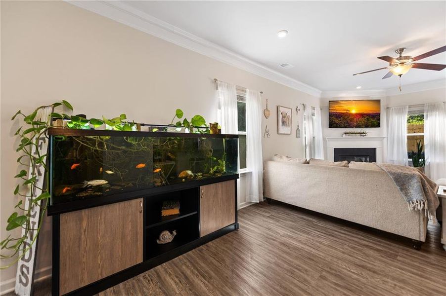Furnished interior view inside a new home in , Jasper (Image 7).