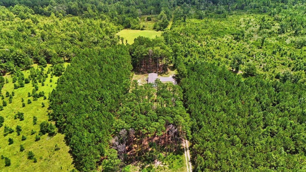 Natural landscape and outdoor views near in Cross (Image 36). Natural landscape and outdoor views near in Cross (Image 36).