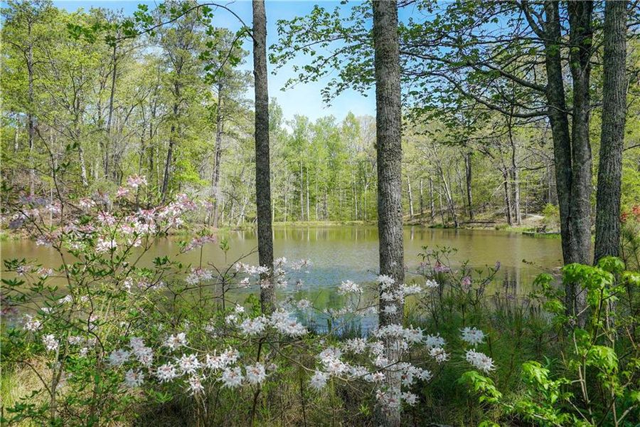 Natural landscape and outdoor views near Aster in Milton (Image 11).