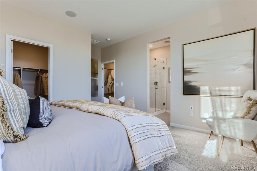 Furnished interior view inside a new home in Paired Homes at Alder Creek, Parker (Image 12).