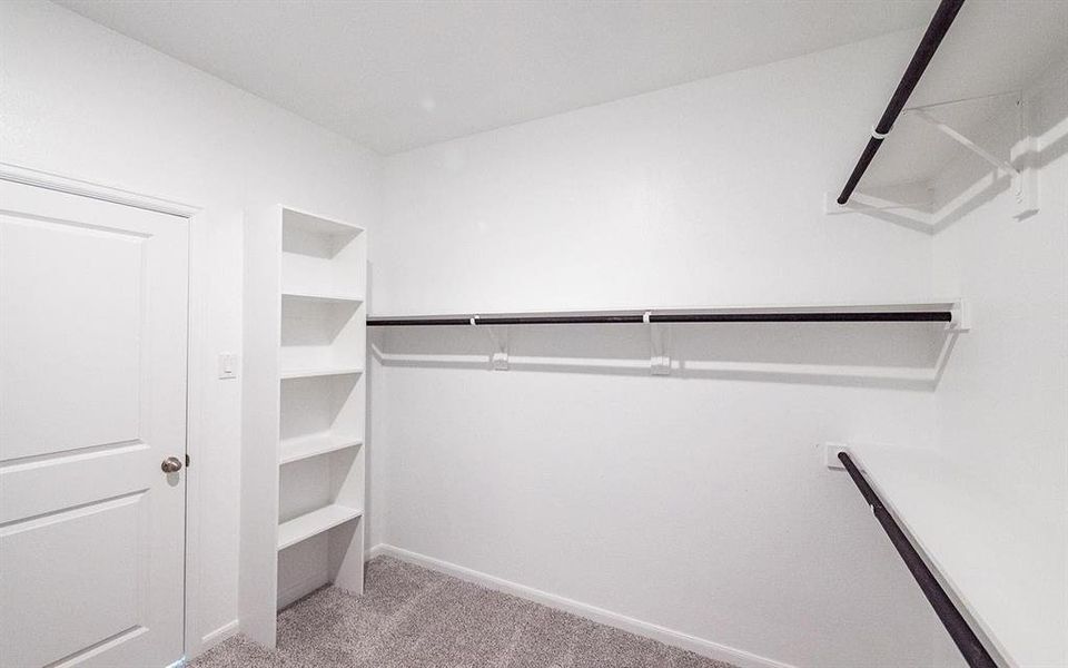 Spacious closet featuring light carpet