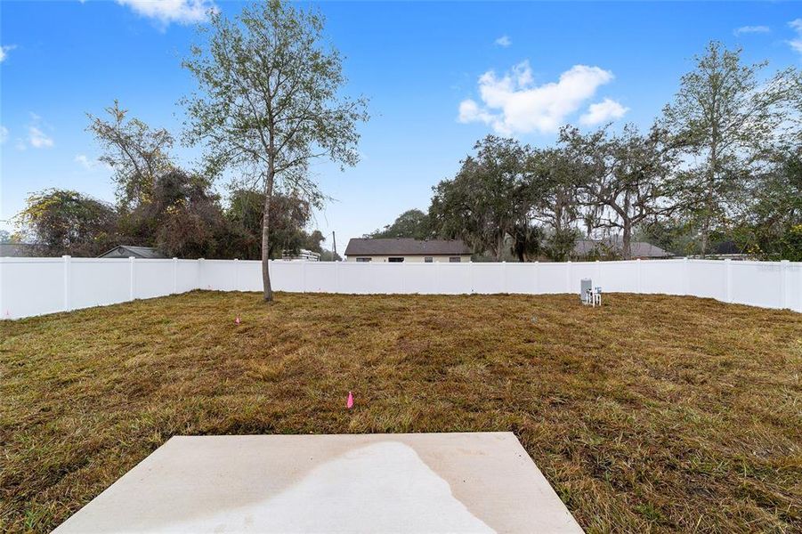 Natural landscape and outdoor views near  in Ocala (Image 32).