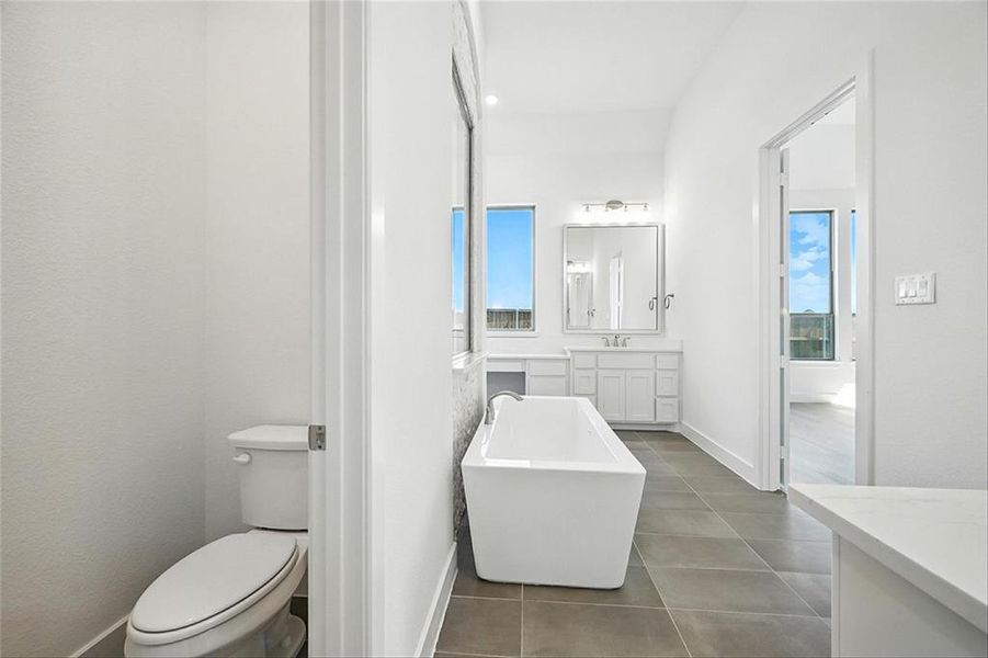 4317Clydesdale215C014 4317Clydesdale215C014