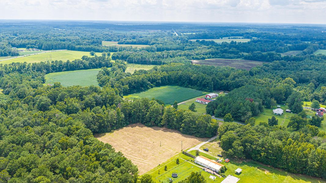Natural landscape and outdoor views near  in Holly Hill (Image 65).