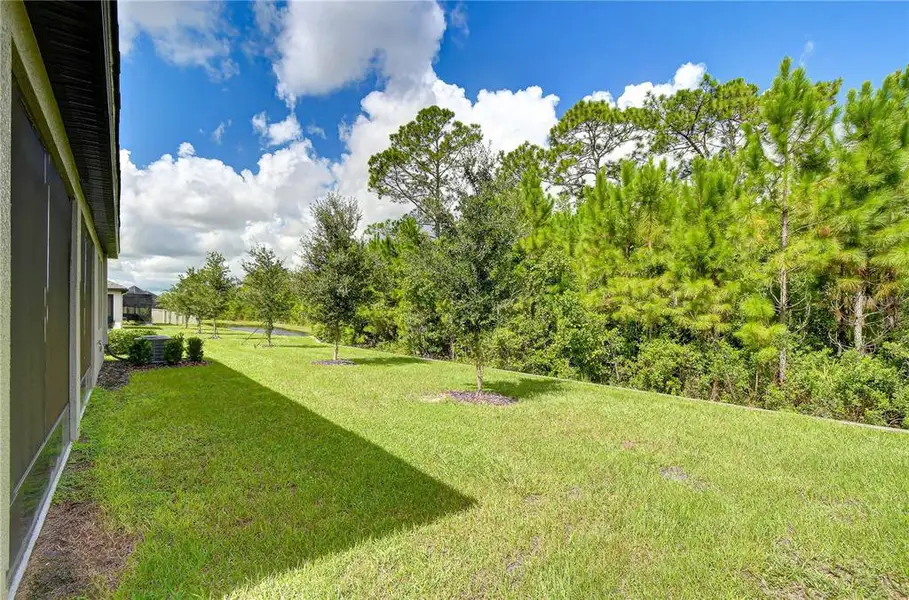 Exterior details and patio area of a home in Angeline Active Adult, Land O' Lakes (Image 21).